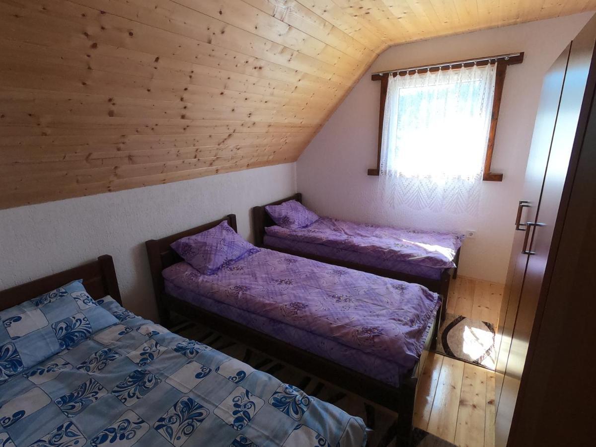 Guest House Tara Žabljak Kültér fotó